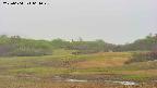 area3-20250604061046.jpg