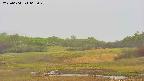 area3-20250604063049.jpg
