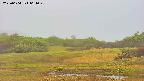 area3-20250604064050.jpg
