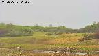 area3-20250604065050.jpg