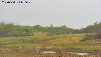 area3-20250604070047.jpg