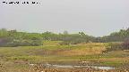 area3-20250604071046.jpg