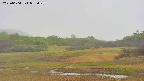 area3-20250604072049.jpg
