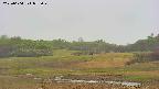 area3-20250604073050.jpg