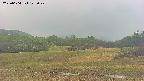 area3-20250604122048.jpg