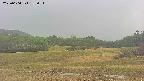 area3-20250604133051.jpg