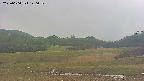 area3-20250604140051.jpg