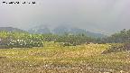 area3-20250604144054.jpg