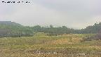 area3-20250604165050.jpg