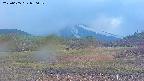 area3-20250605050051.jpg