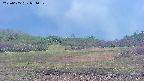 area3-20250605054051.jpg