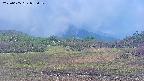 area3-20250605055051.jpg