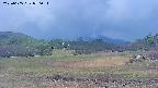 area3-20250605070054.jpg