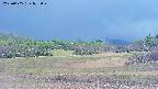 area3-20250605075049.jpg
