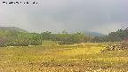 area3-20250605092050.jpg