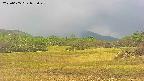area3-20250605095049.jpg