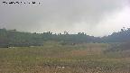 area3-20250605121051.jpg