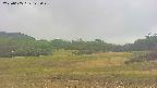 area3-20250605123048.jpg