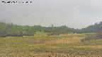 area3-20250605125052.jpg