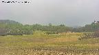 area3-20250605144049.jpg