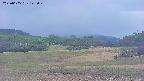 area3-20250605145049.jpg