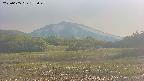 area3-20250605172049.jpg