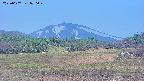 area3-20250607070050.jpg
