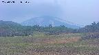 area3-20250608052048.jpg