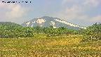 area3-20250610110052.jpg