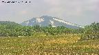 area3-20250610113052.jpg
