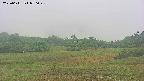 area3-20250611050047.jpg