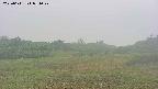 area3-20250611051048.jpg