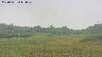 area3-20250611054048.jpg