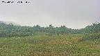 area3-20250611055048.jpg
