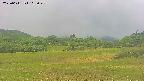 area3-20250611115048.jpg