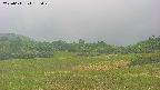 area3-20250611135049.jpg