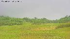 area3-20250611140051.jpg