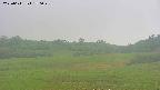 area3-20250611170048.jpg