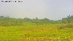 area3-20250612050048.jpg