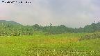 area3-20250612055048.jpg