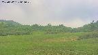 area3-20250612061048.jpg