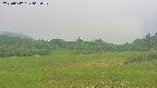 area3-20250612063051.jpg
