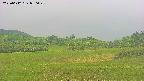 area3-20250612080048.jpg
