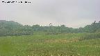 area3-20250612081048.jpg