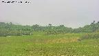 area3-20250612082049.jpg