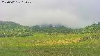 area3-20250612103049.jpg