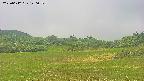 area3-20250612120051.jpg