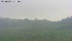 area3-20250612174049.jpg