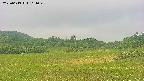 area3-20250613101047.jpg
