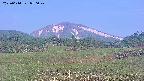 area3-20250614050048.jpg